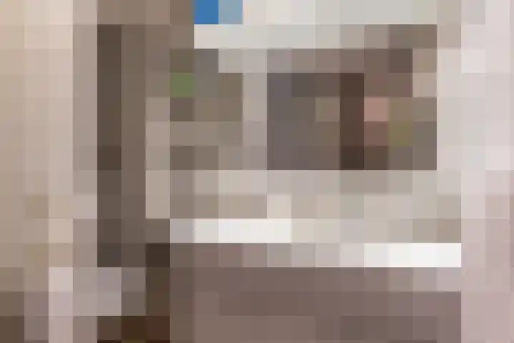 Mincerstraat 47 Dorst thumbnail 30