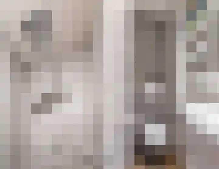 Mincerstraat 47 Dorst thumbnail 31