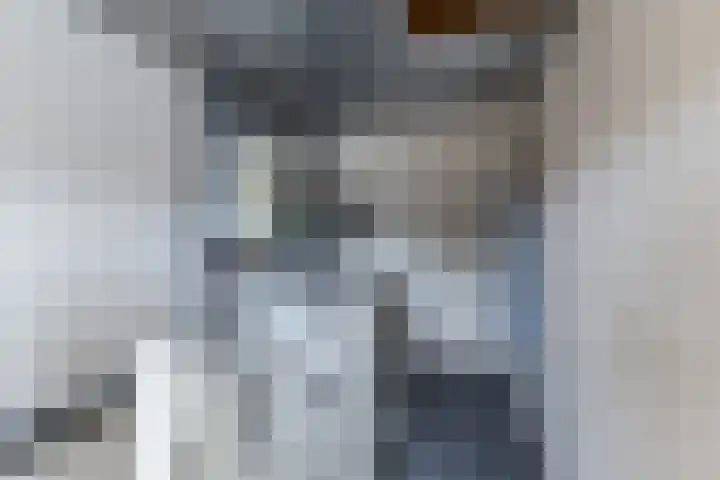 Mincerstraat 47 Dorst thumbnail 33