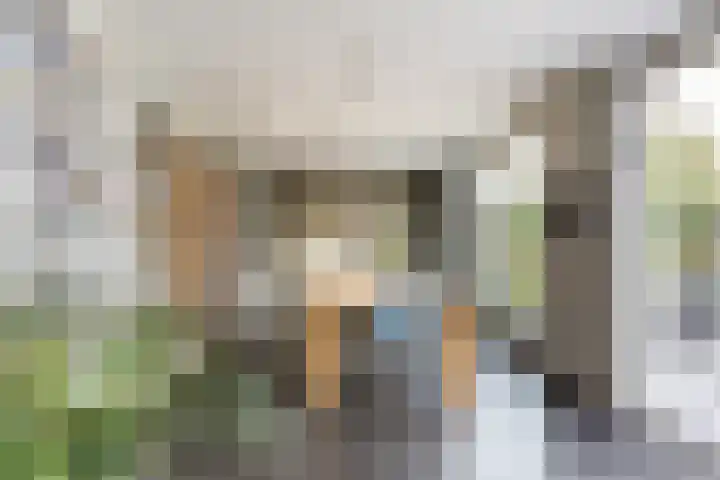 Mincerstraat 47 Dorst thumbnail 4