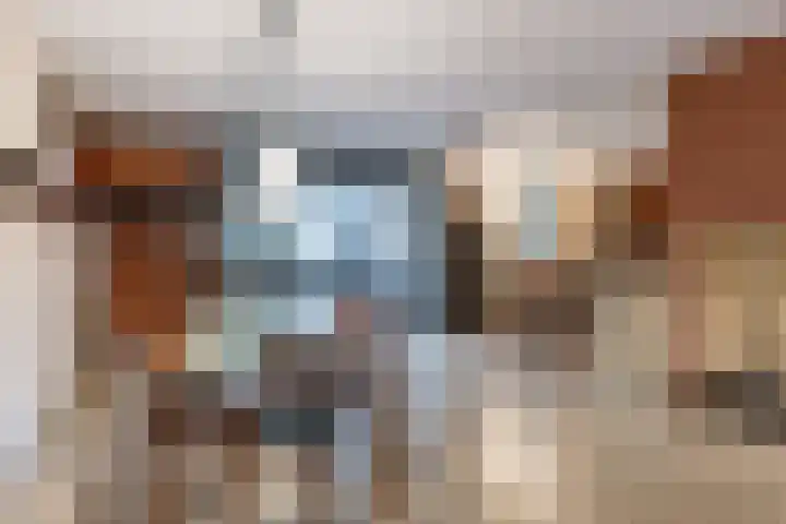 Mincerstraat 47 Dorst thumbnail 9