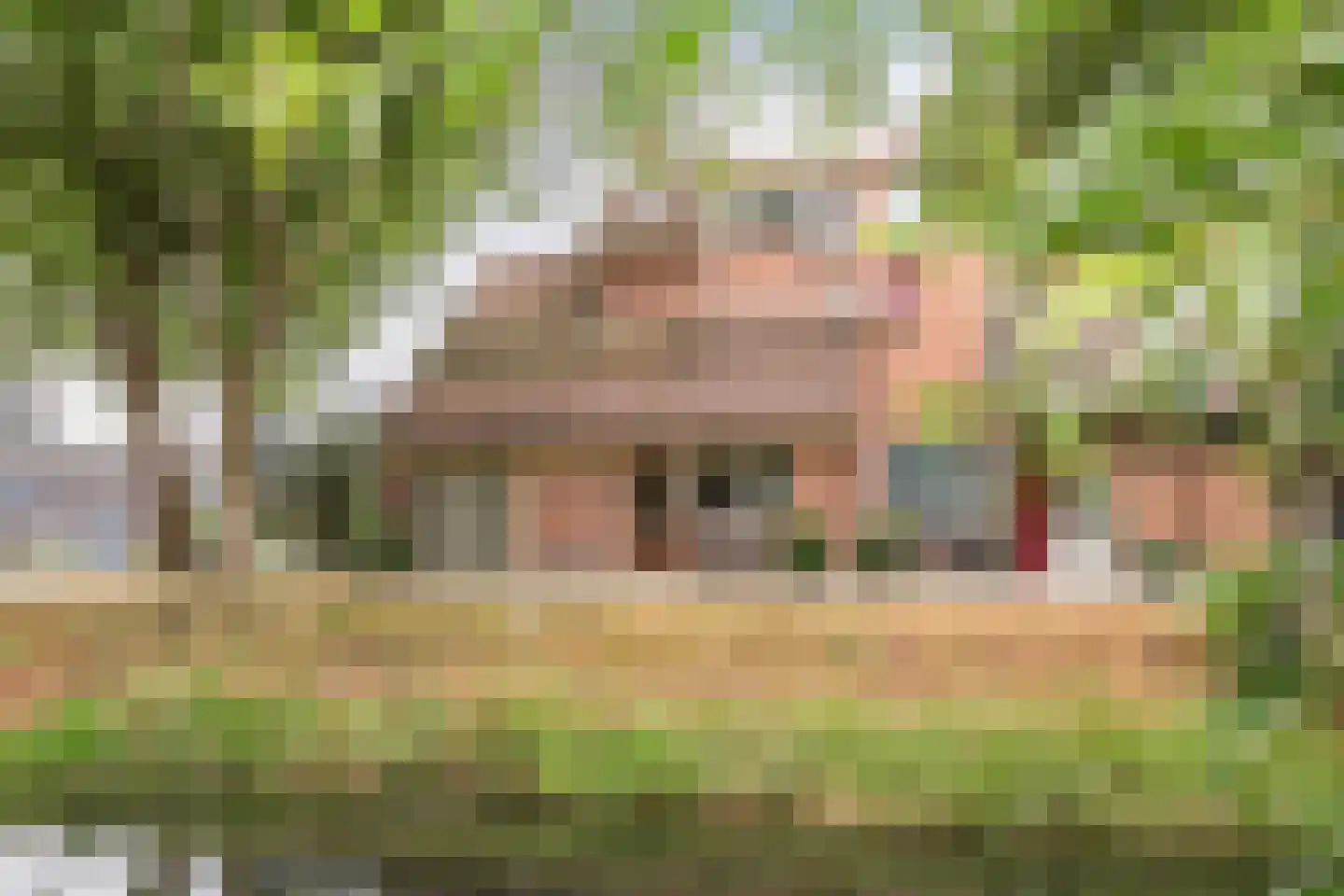 Minck 1 Enkhuizen thumbnail 4