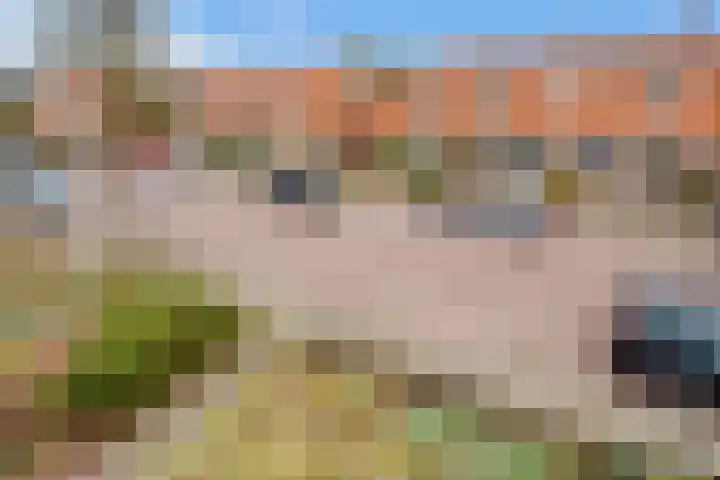 Minckelerslaan 23 Zeist thumbnail 24