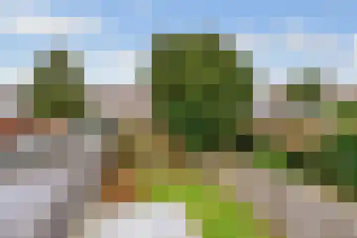 Minckelerslaan 23 Zeist thumbnail 30