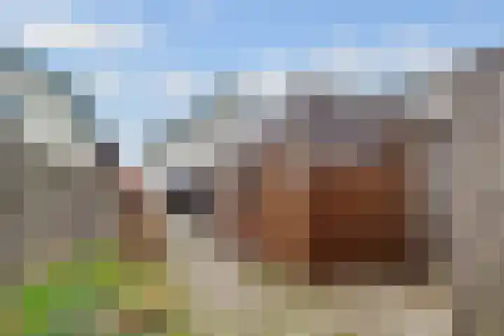 Minckelerslaan 23 Zeist thumbnail 34