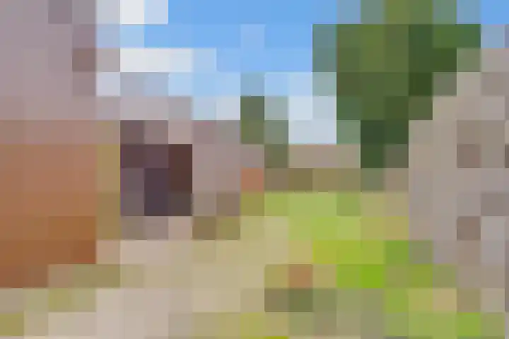 Minckelerslaan 23 Zeist thumbnail 37