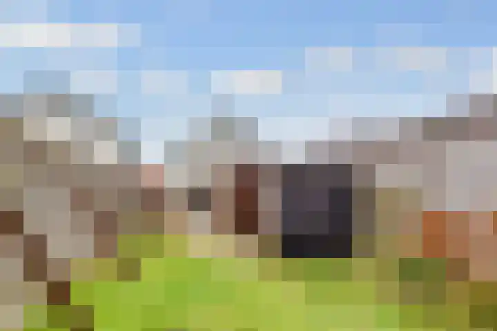 Minckelerslaan 23 Zeist thumbnail 38