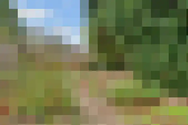 Minckelerslaan 23 Zeist thumbnail 41