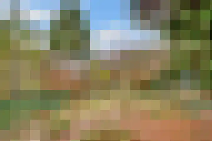 Minckelerslaan 23 Zeist thumbnail 42