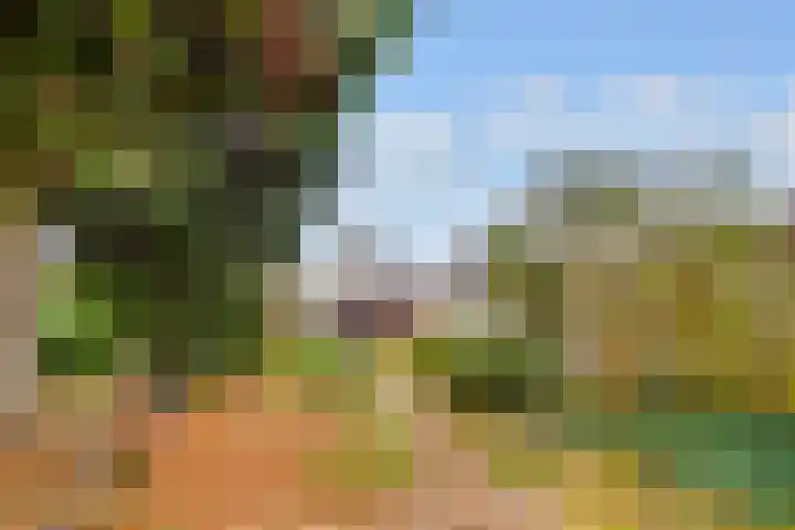 Minckelerslaan 23 Zeist thumbnail 43