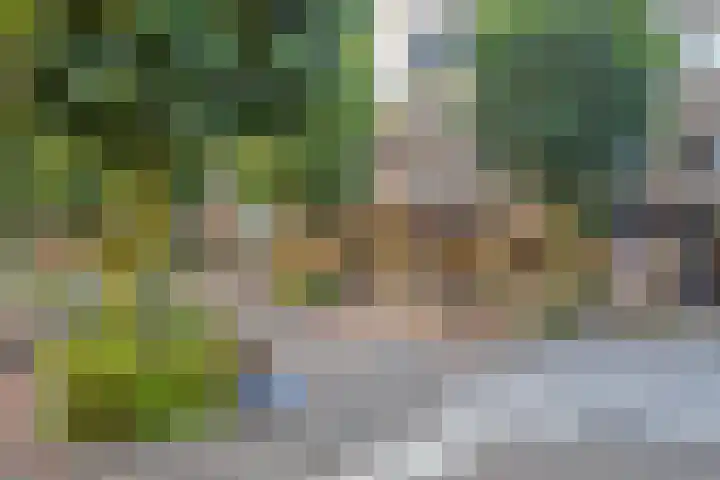 Minckelerslaan 23 Zeist thumbnail 44