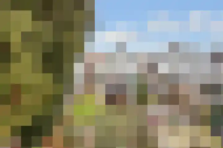 Minckelerslaan 23 Zeist thumbnail 5