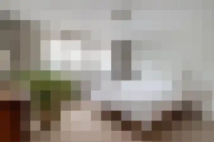 Minckelerslaan 53 Zeist thumbnail 11