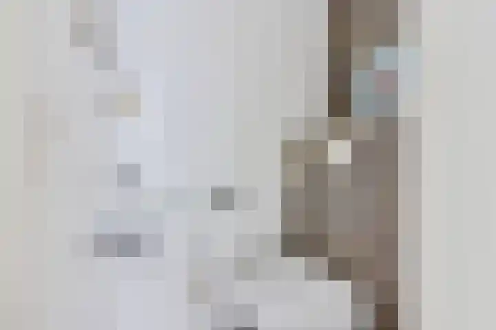 Minckelersstate 14 Heerenveen thumbnail 14
