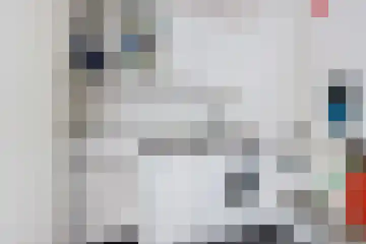 Minckelersstate 14 Heerenveen thumbnail 15
