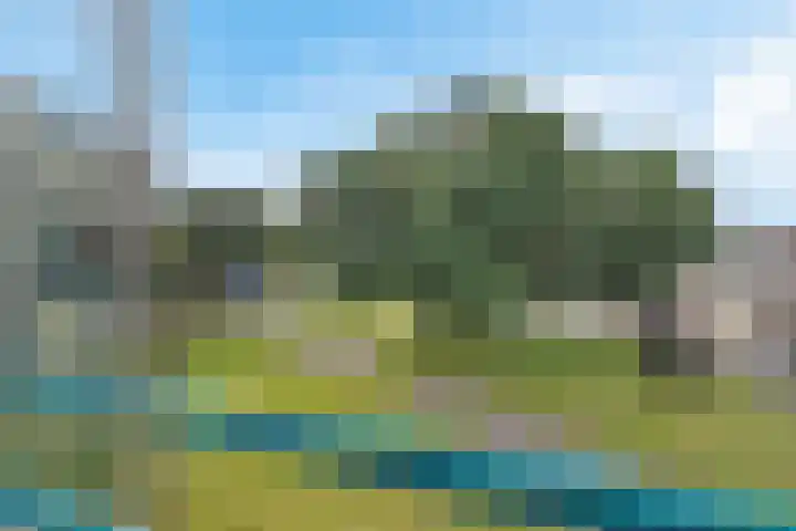 Minckelersstate 14 Heerenveen thumbnail 26