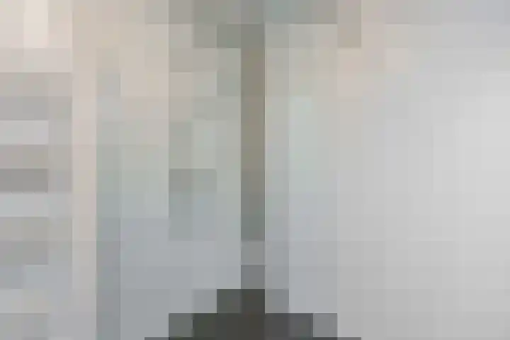 Minckelersstate 14 Heerenveen thumbnail 32