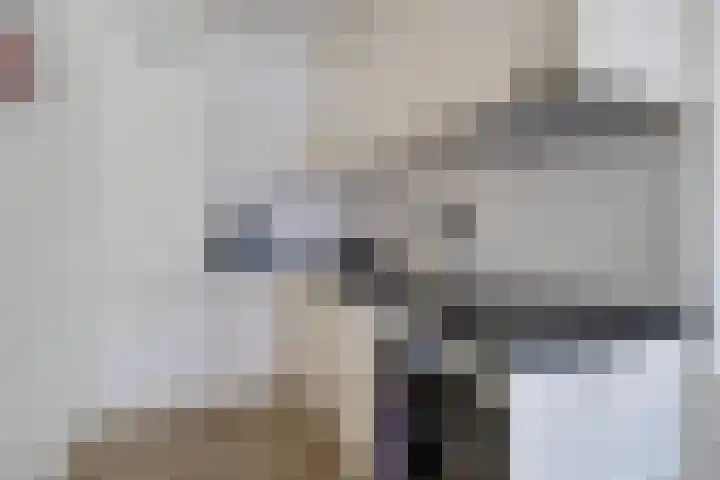 Minckelersstate 22 Heerenveen thumbnail 21