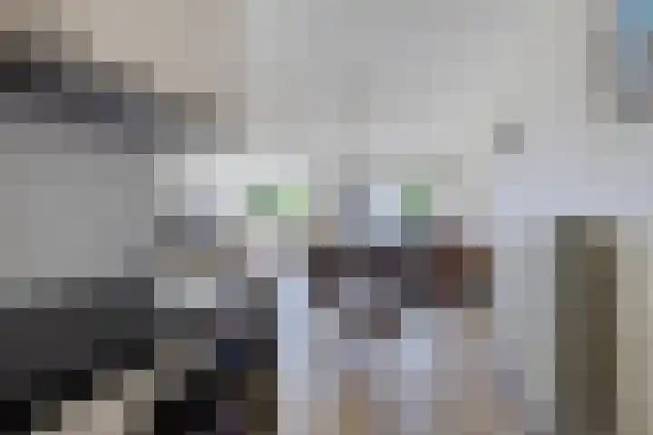 Minckelersstate 22 Heerenveen thumbnail 22