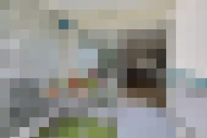 Minckelersstate 22 Heerenveen thumbnail 24