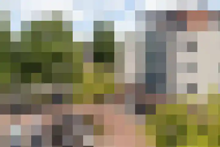 Minckelersstate 22 Heerenveen thumbnail 35