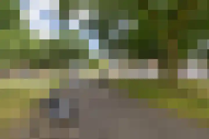 Minckelersstate 22 Heerenveen thumbnail 39