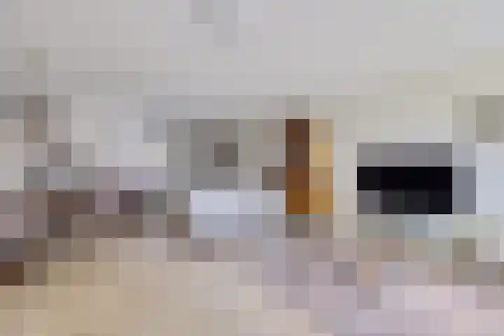 Minckelersstate 22 Heerenveen thumbnail 5