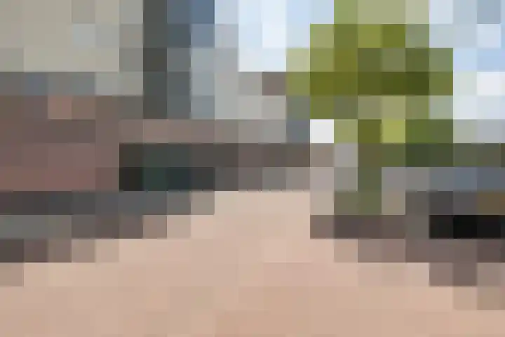 Minckelersstate 22 Heerenveen thumbnail 9