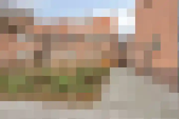 Minckelersstraat 74 B in Den Haag