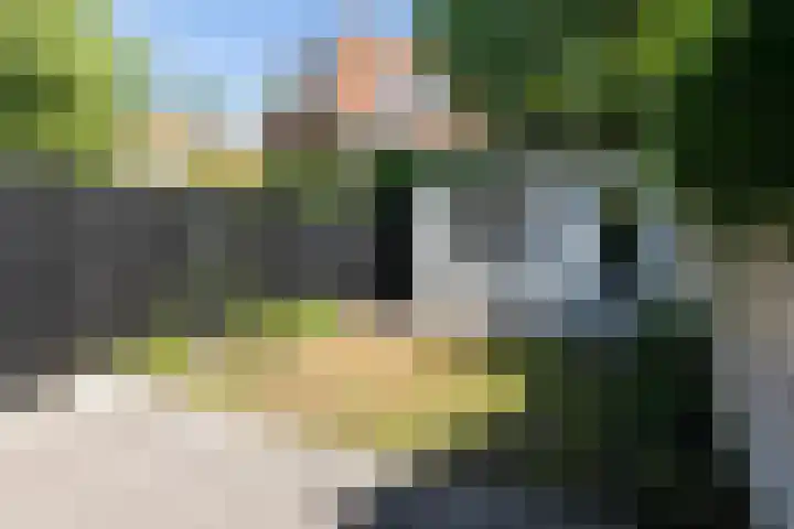 Minckelersstraat 9 Eindhoven thumbnail 24