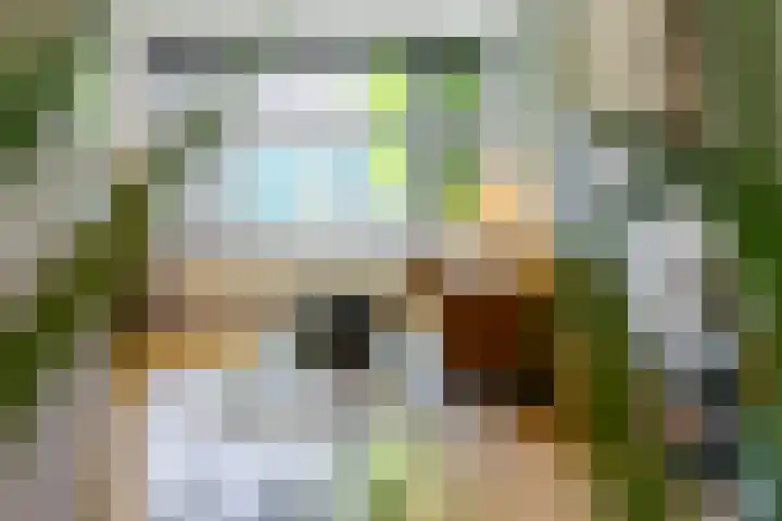 Minckelersstraat 9 Eindhoven thumbnail 9