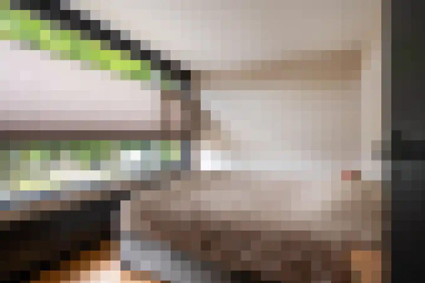 Minckelersweg 102 Hoogerheide thumbnail 18