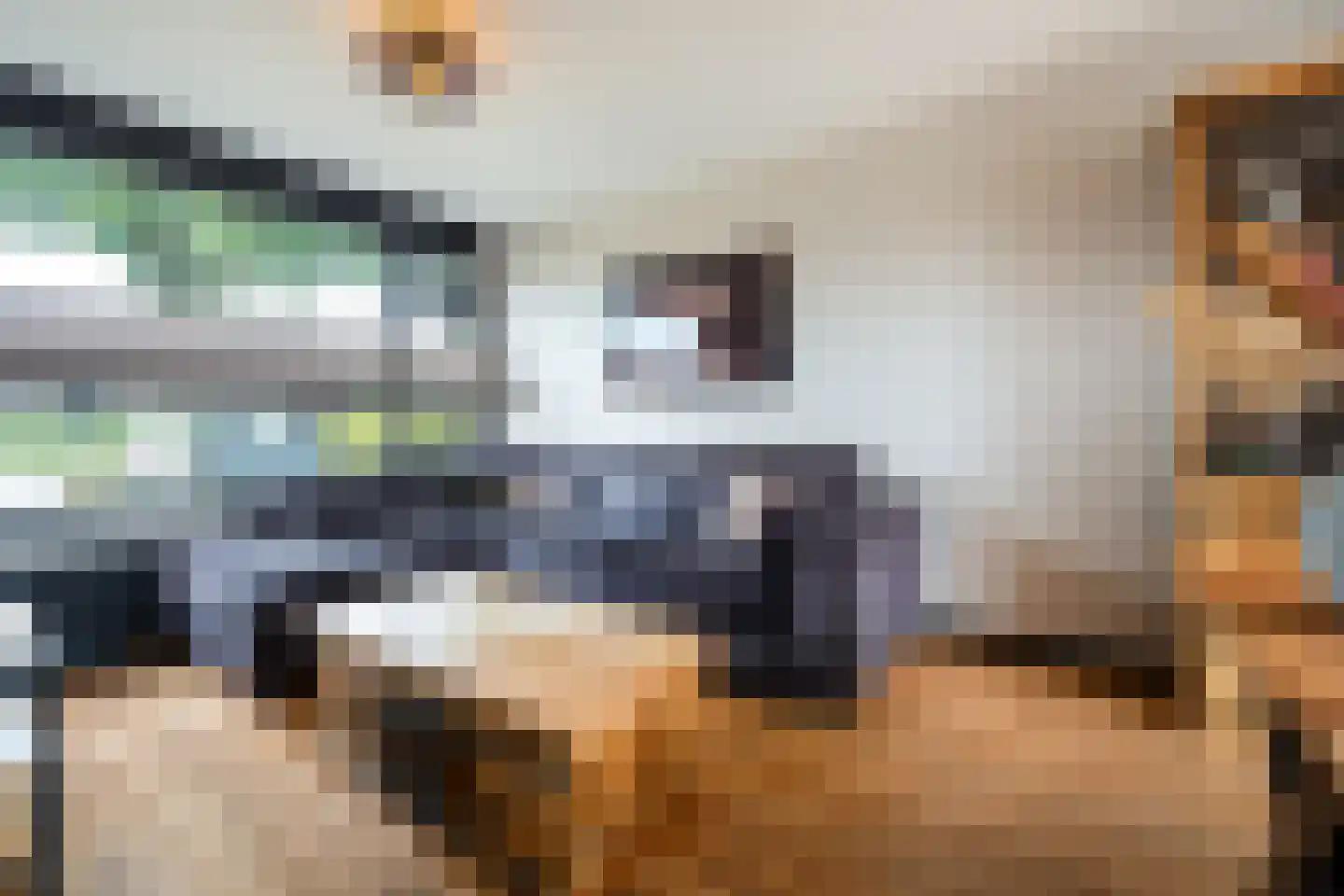 Minckelersweg 102 Hoogerheide thumbnail 4