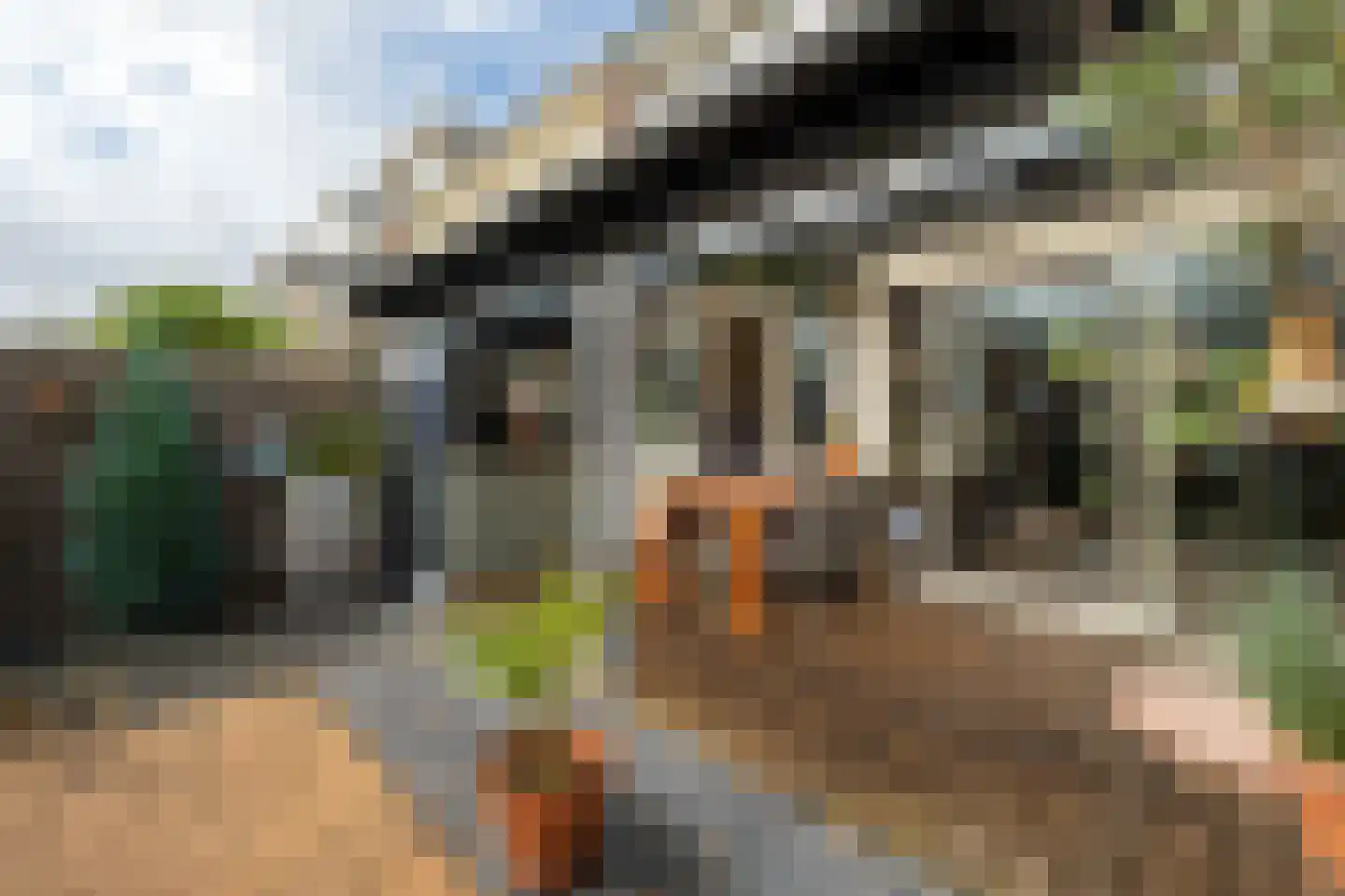 Minckelersweg 120 Hoogerheide thumbnail 34