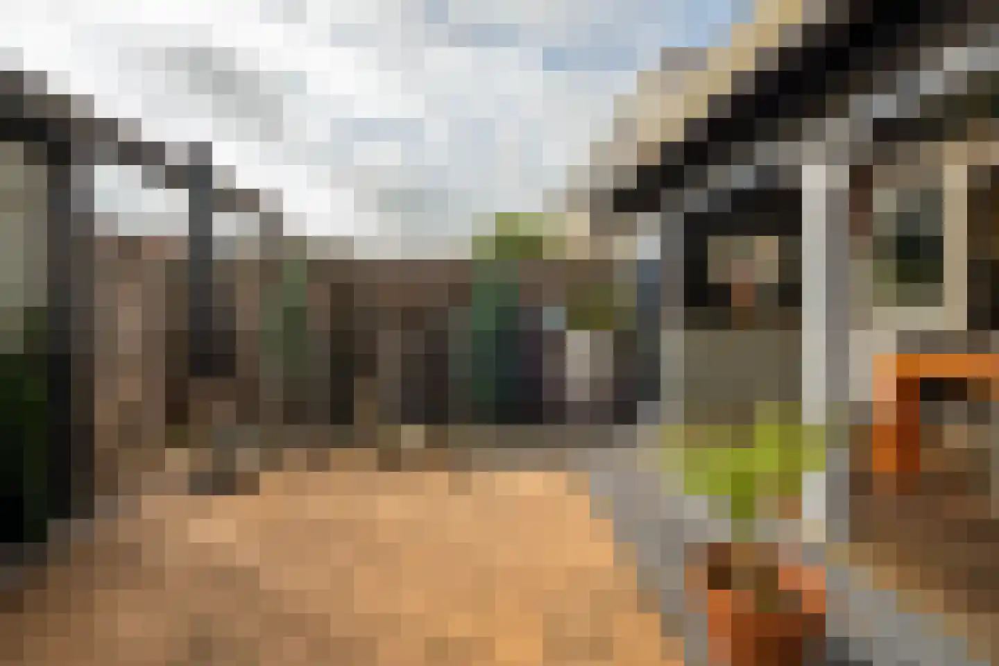 Minckelersweg 120 Hoogerheide thumbnail 40