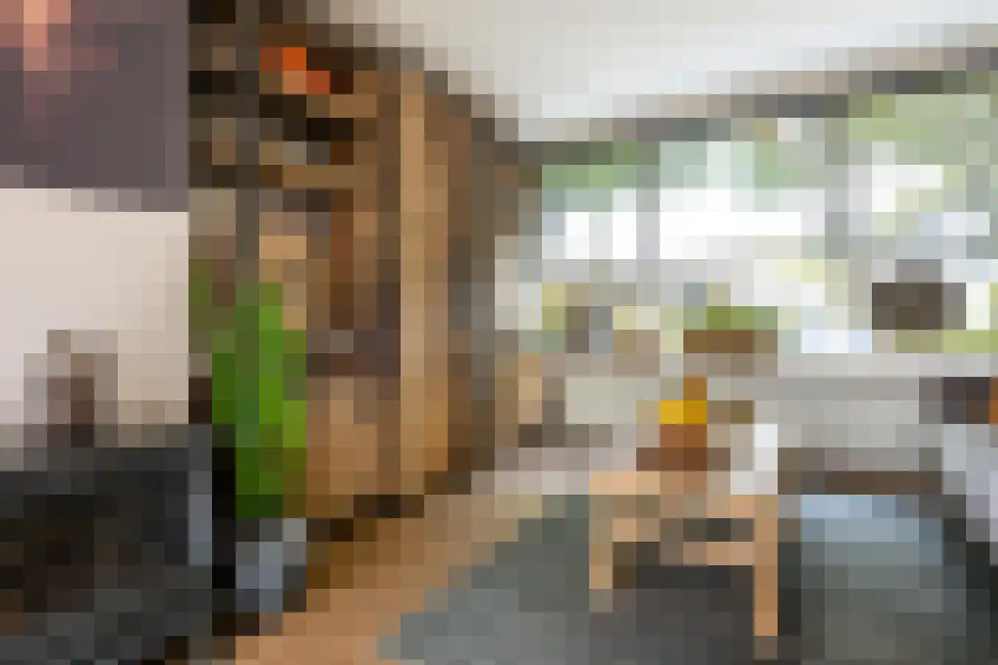 Minckelersweg 120 Hoogerheide thumbnail 9