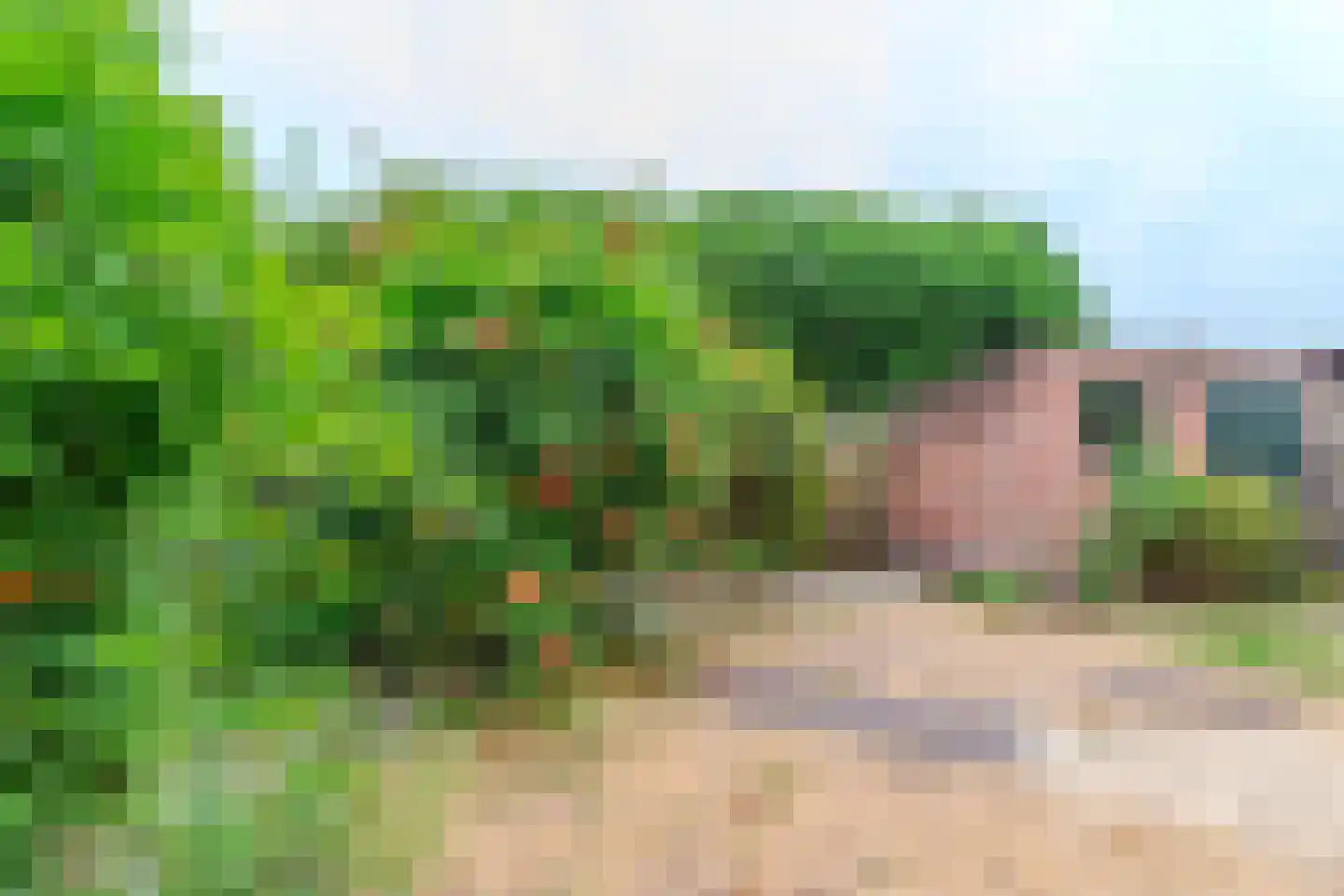 Minckelersweg 122 Hoogerheide thumbnail 36