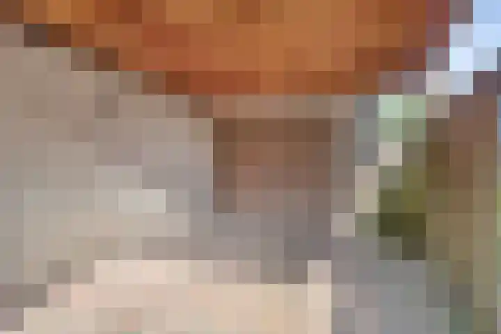 Minckelersweg 27 Hoogerheide thumbnail 27