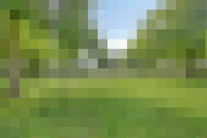 Minckelersweg 27 Hoogerheide thumbnail 33