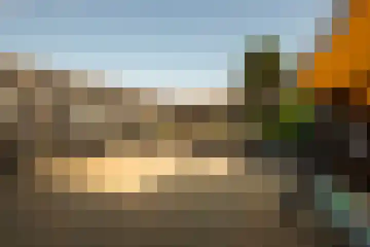 Minckelersweg 39 Hoogerheide thumbnail 25