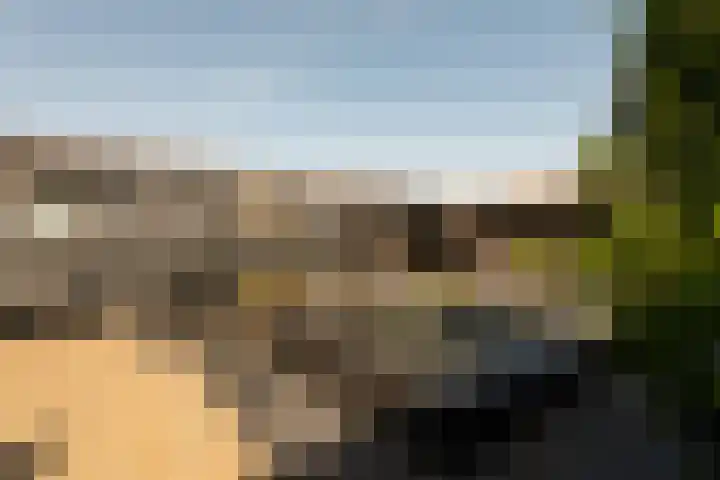Minckelersweg 39 Hoogerheide thumbnail 26