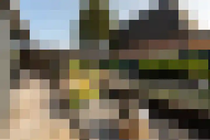 Minckelersweg 39 Hoogerheide thumbnail 27