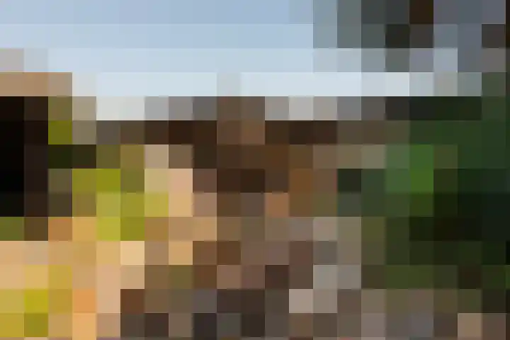 Minckelersweg 39 Hoogerheide thumbnail 28