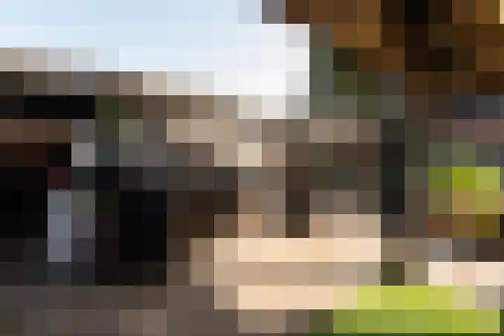 Minckelersweg 39 Hoogerheide thumbnail 29