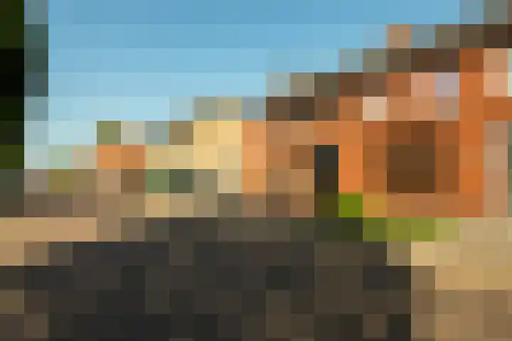 Minckelersweg 39 Hoogerheide thumbnail 37