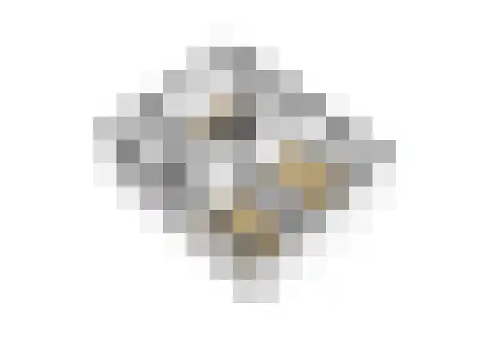 Minckelersweg 39 Hoogerheide thumbnail 45