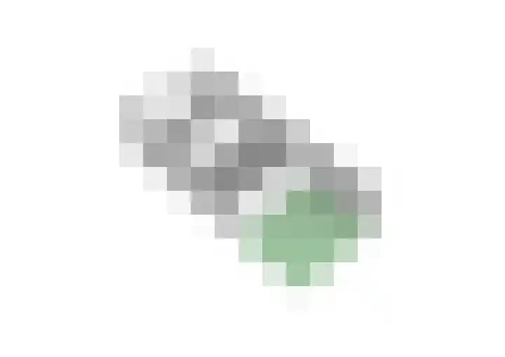 Minckelersweg 39 Hoogerheide thumbnail 48