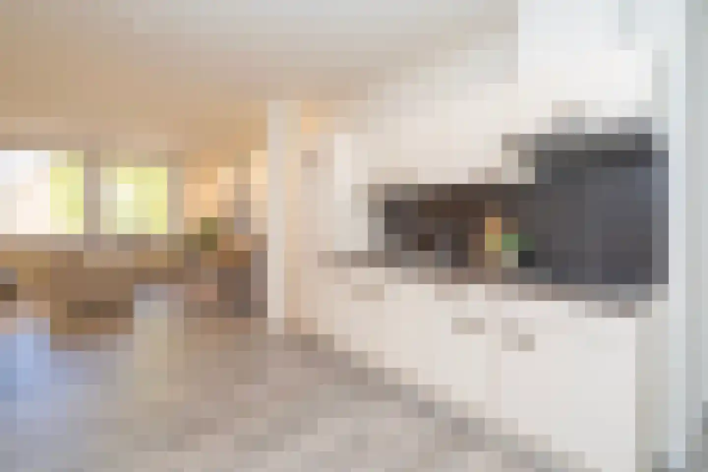 Minderbroederspad 1 05 Tilburg thumbnail 13
