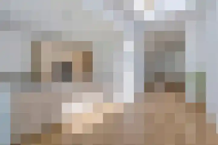 Minderbroederssingel 20 Roermond thumbnail 21
