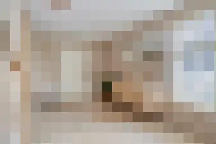 Minderbroederssingel 20 Roermond thumbnail 31